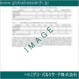 グローバルリサーチ調査資料のイメージ